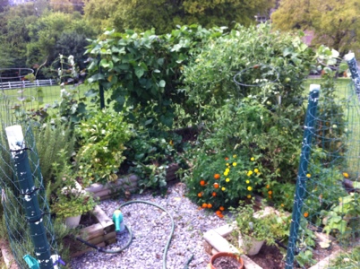 finished garden